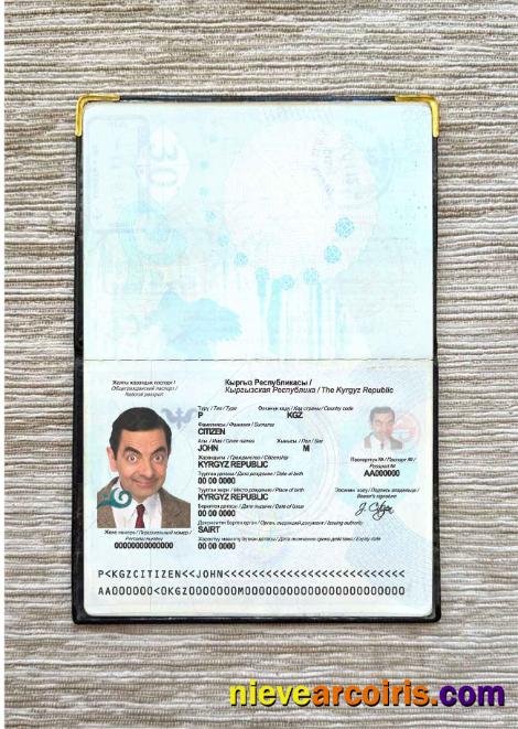 Kyrgyzstan passport photolook